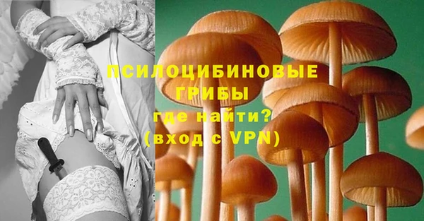 бошки Абаза