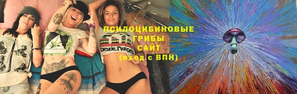 прущие крисы Алзамай