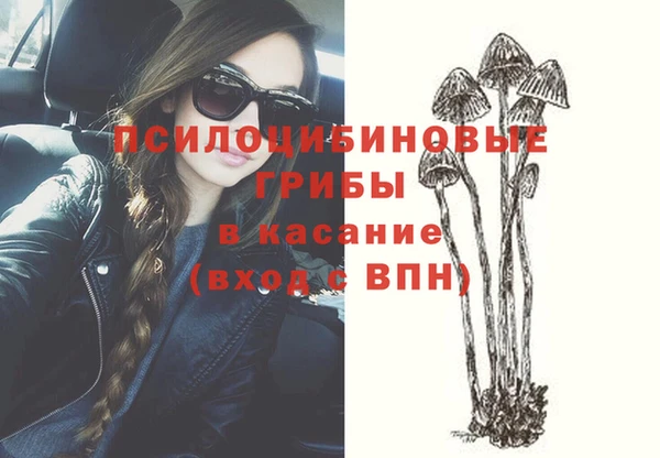 ECSTASY Всеволожск