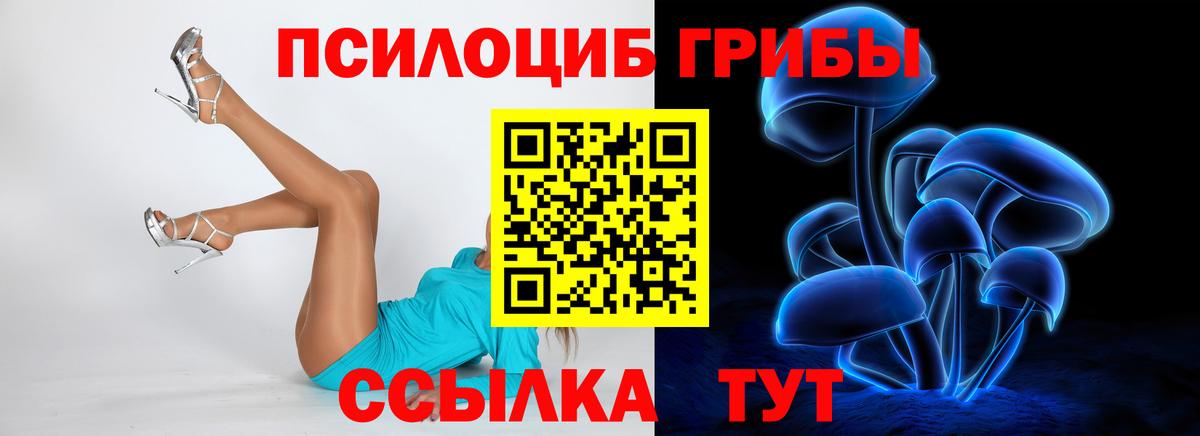 Псилоцибиновые грибы MAGIC MUSHROOMS  Псилоцибиновые грибы Cubensis  Вход с VPN  Октябрьский 
